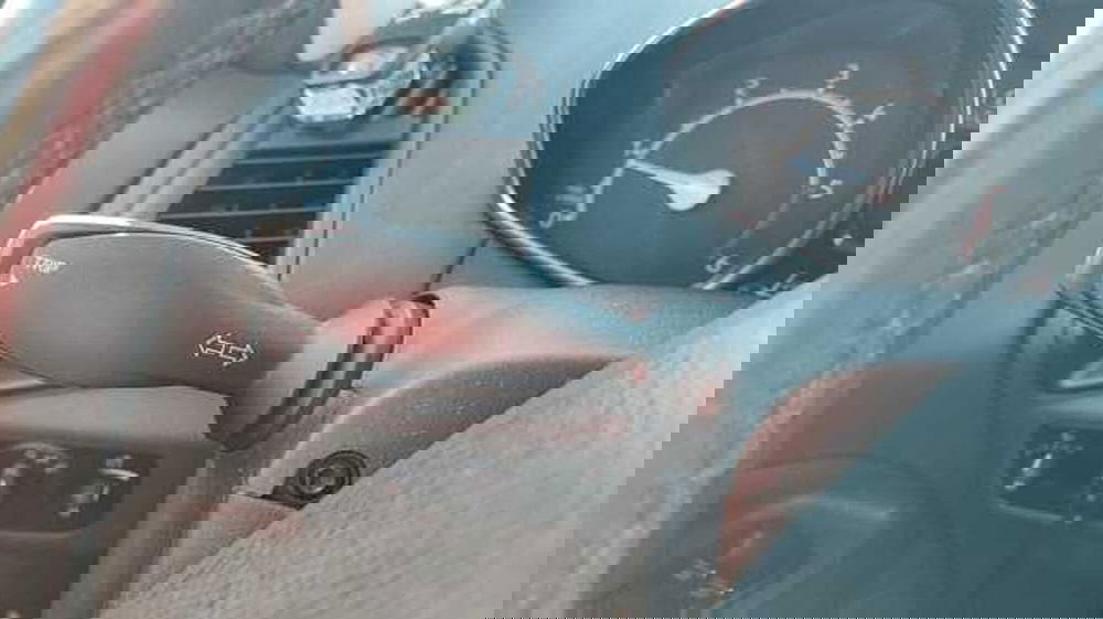 Ford EcoSport usata a Firenze (17)