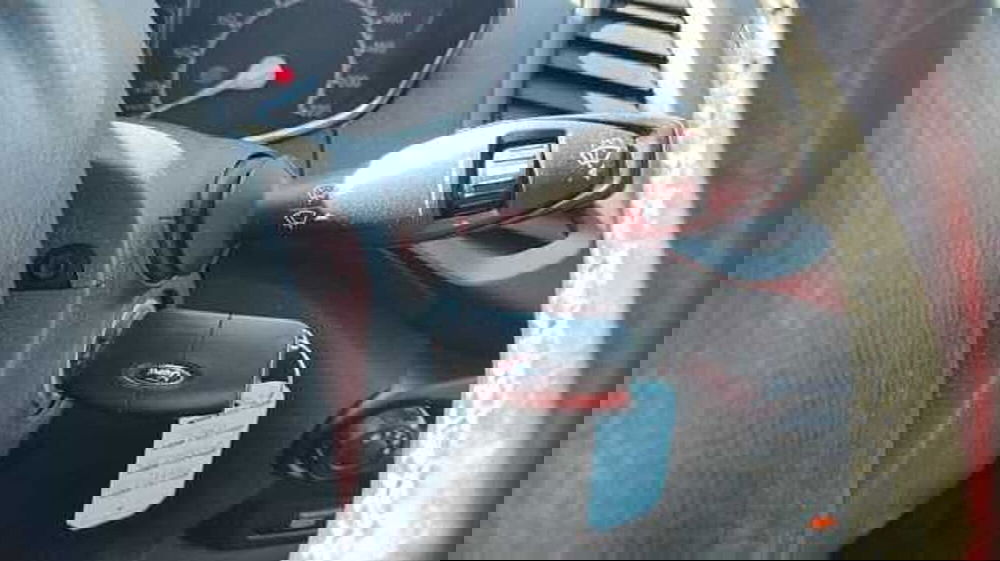 Ford EcoSport usata a Firenze (18)