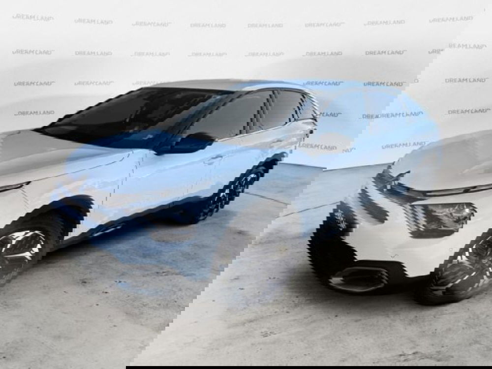 Citroen C4 usata a Livorno (20)