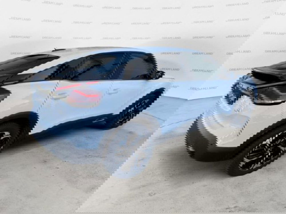 Citroen C4 usata a Livorno (7)