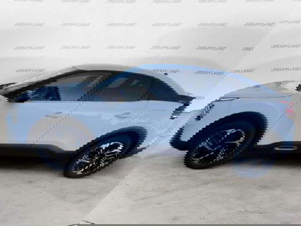 Citroen C4 usata a Livorno (8)