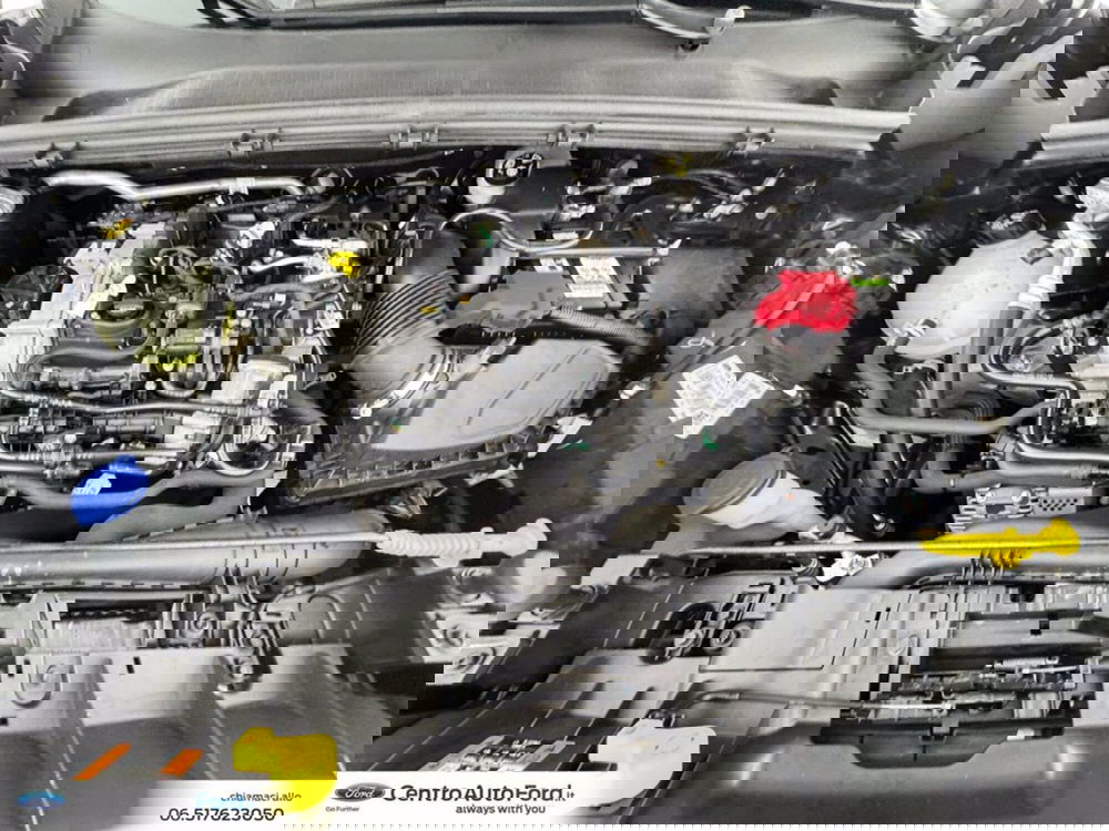 Ford Puma usata a Roma (12)