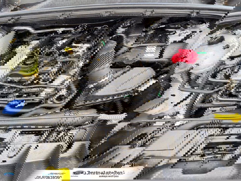 Ford Puma usata a Roma (12)