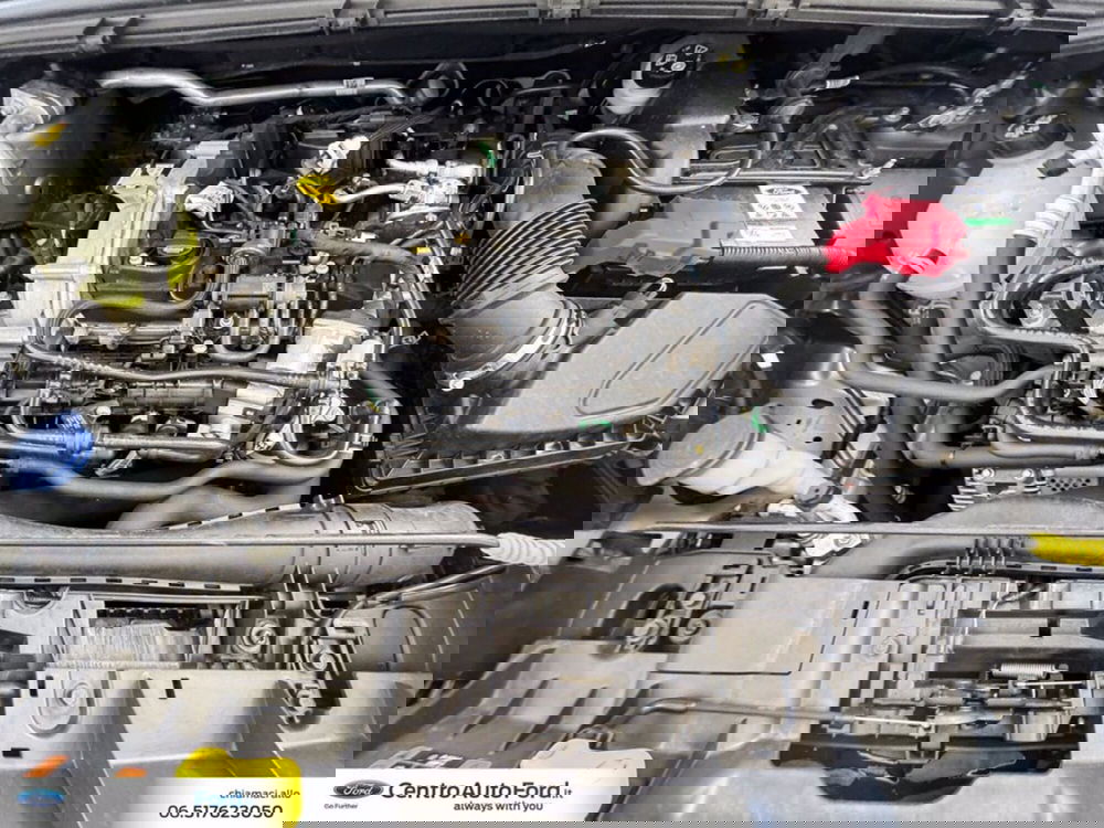 Ford Puma usata a Roma (12)