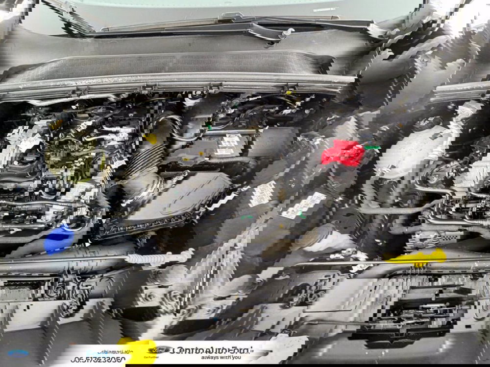 Ford Puma usata a Roma (12)