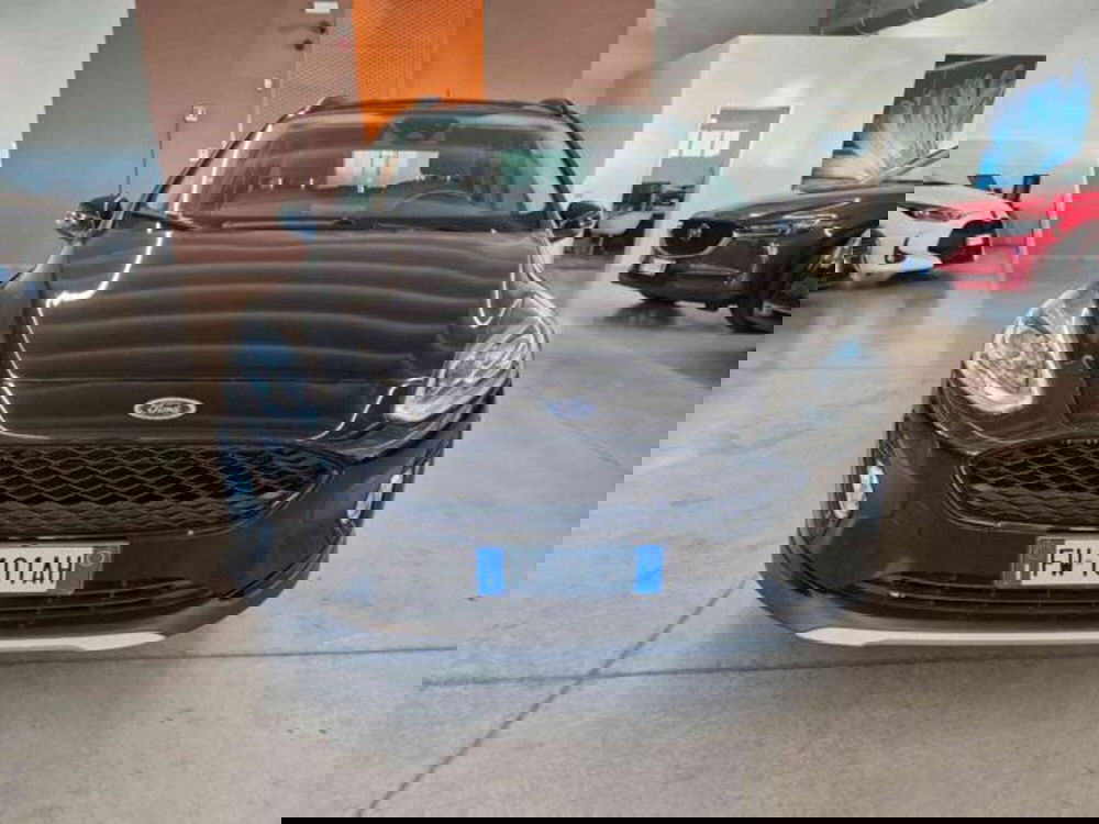 Ford Fiesta usata a Bologna (2)