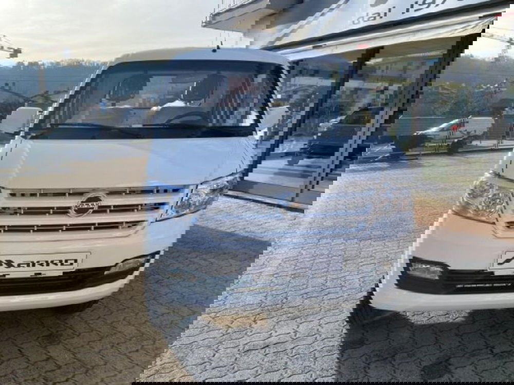 Giotti Victoria Gladiator Top Telaio nuova a Cuneo (7)