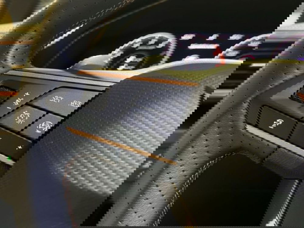 Cupra Formentor usata a Vicenza (17)