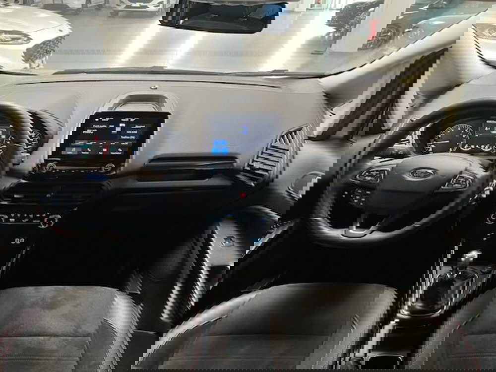 Ford EcoSport usata a Cuneo (8)