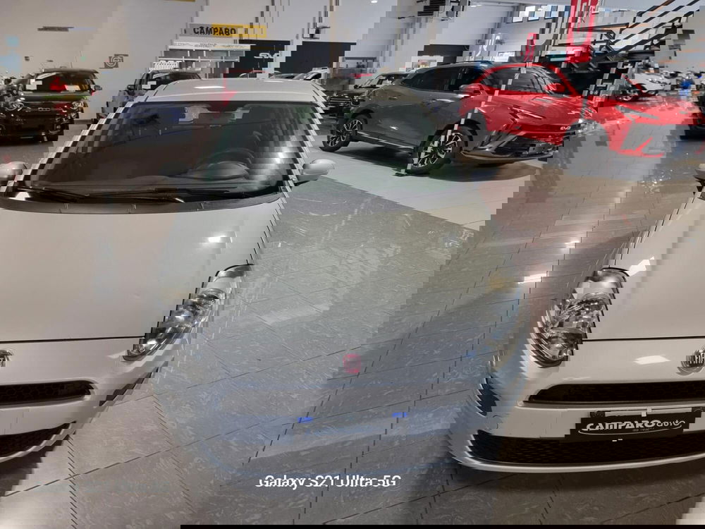 Fiat Punto usata a Alessandria