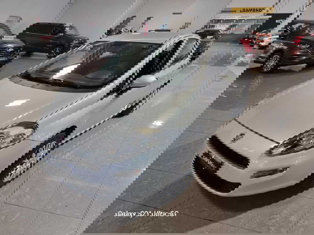 Fiat Punto usata a Alessandria (2)