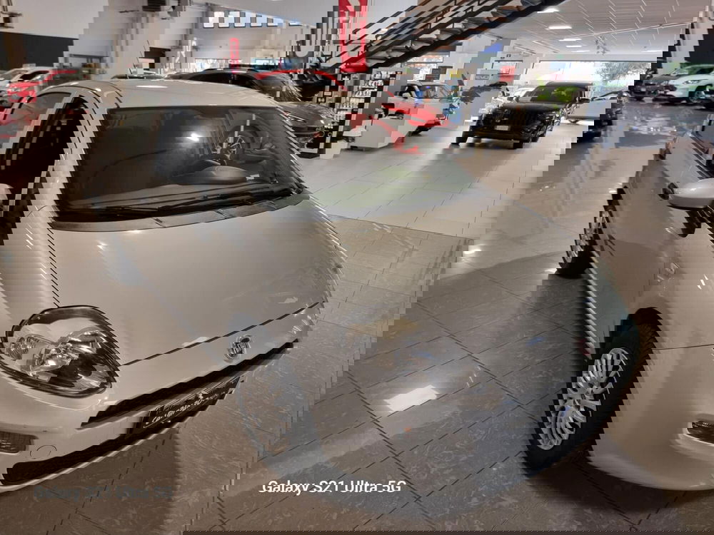 Fiat Punto usata a Alessandria (3)