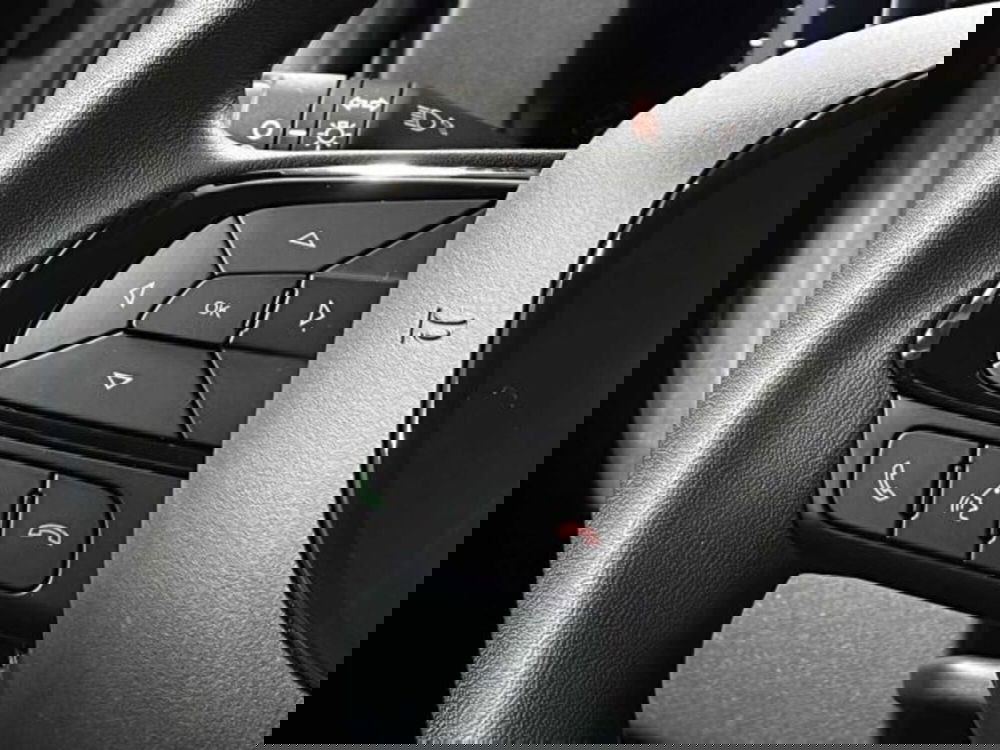 Fiat Panda nuova a Sondrio (19)