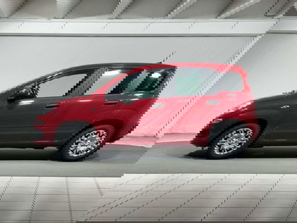 Fiat Panda nuova a Sondrio (2)