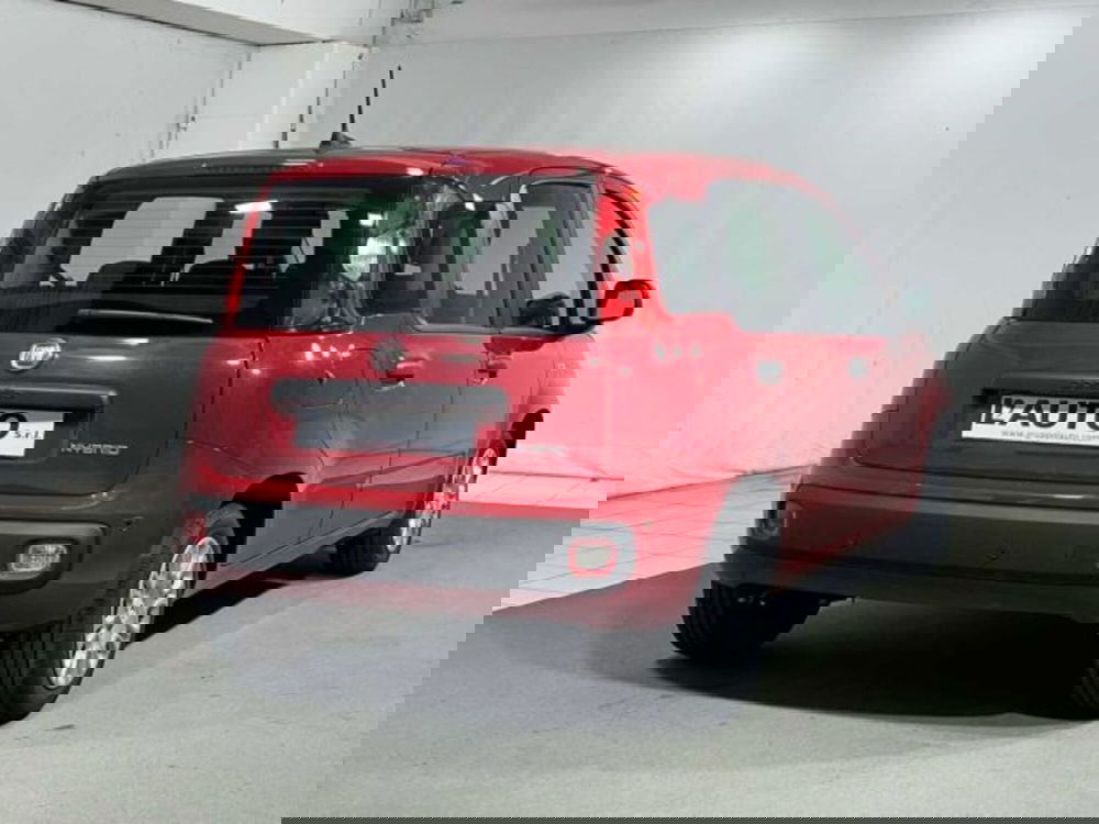 Fiat Panda nuova a Sondrio (5)