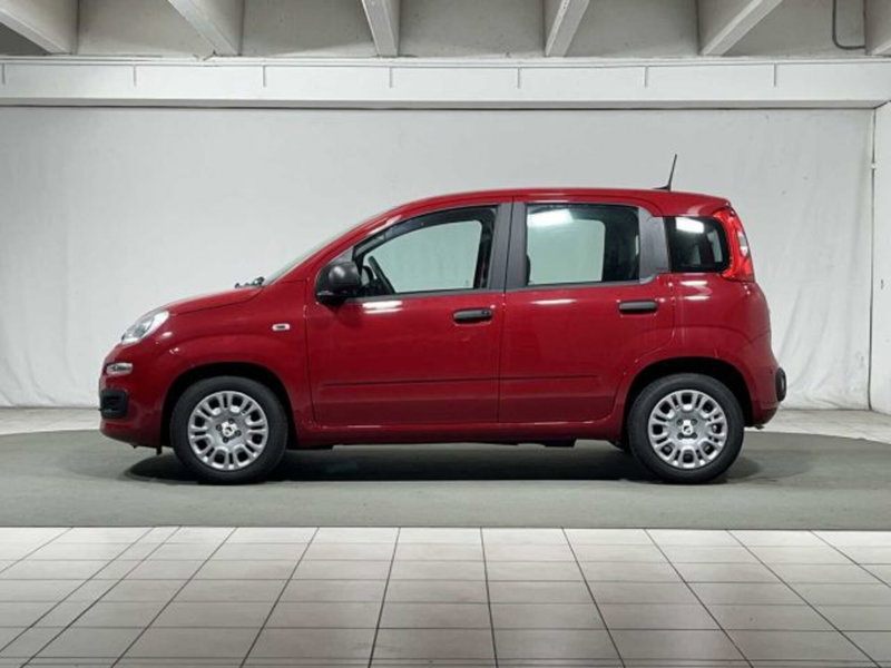 Fiat Panda nuova a Sondrio (2)
