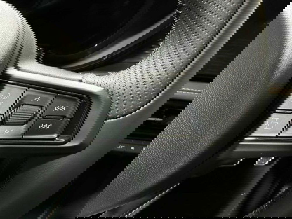 Alfa Romeo Tonale nuova a Sondrio (19)