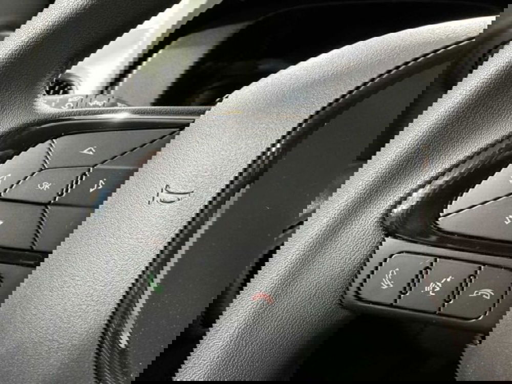 Fiat Panda nuova a Sondrio (20)