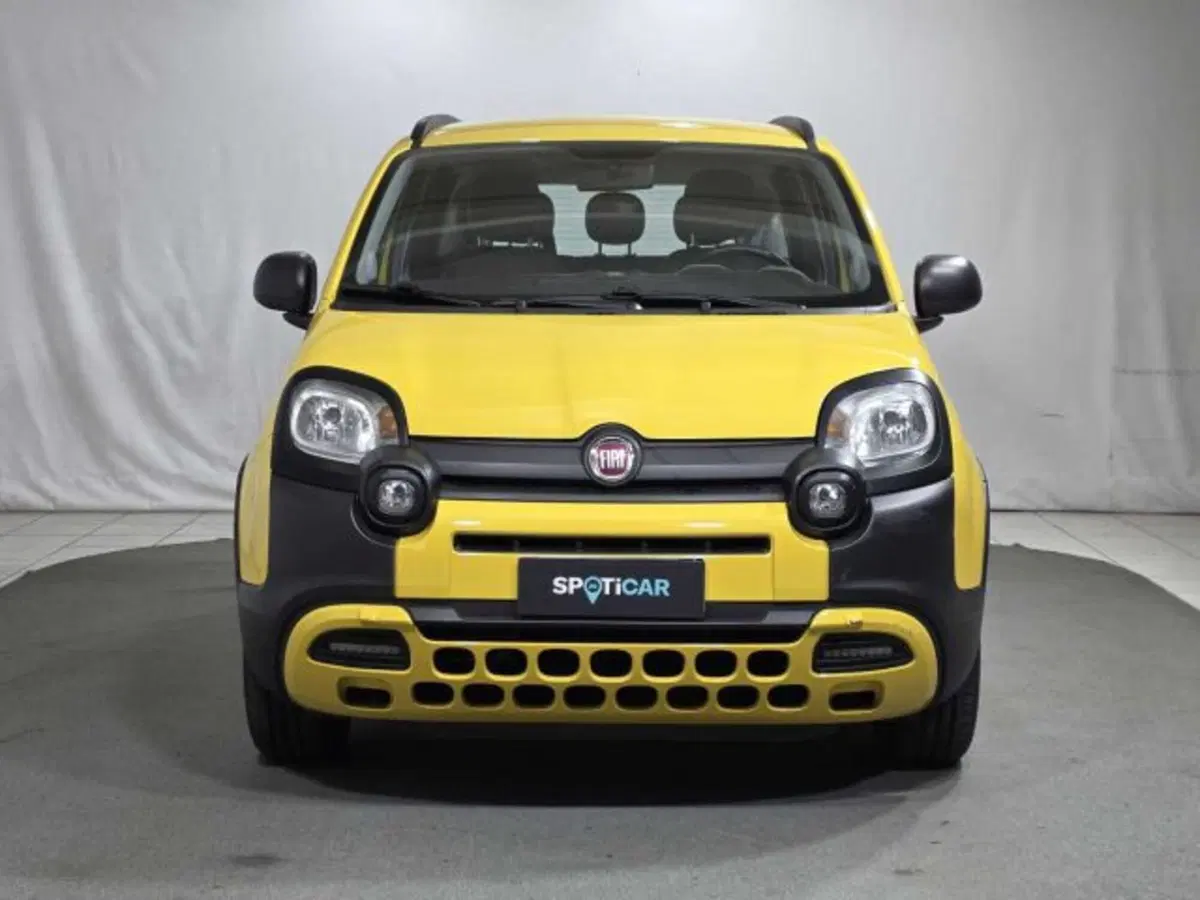 Fiat Panda usata a Sondrio (8)