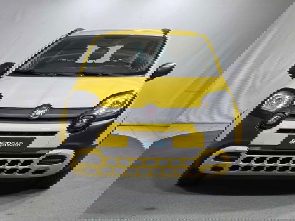 Fiat Panda usata a Sondrio (8)