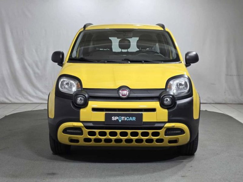 Fiat Panda usata a Sondrio (8)