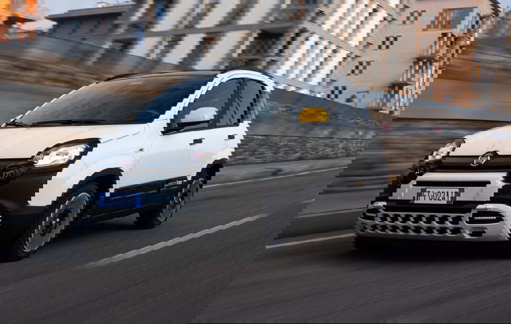 Fiat Panda Cross usata a Caserta