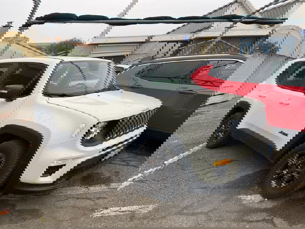 Jeep Renegade usata a Torino (2)