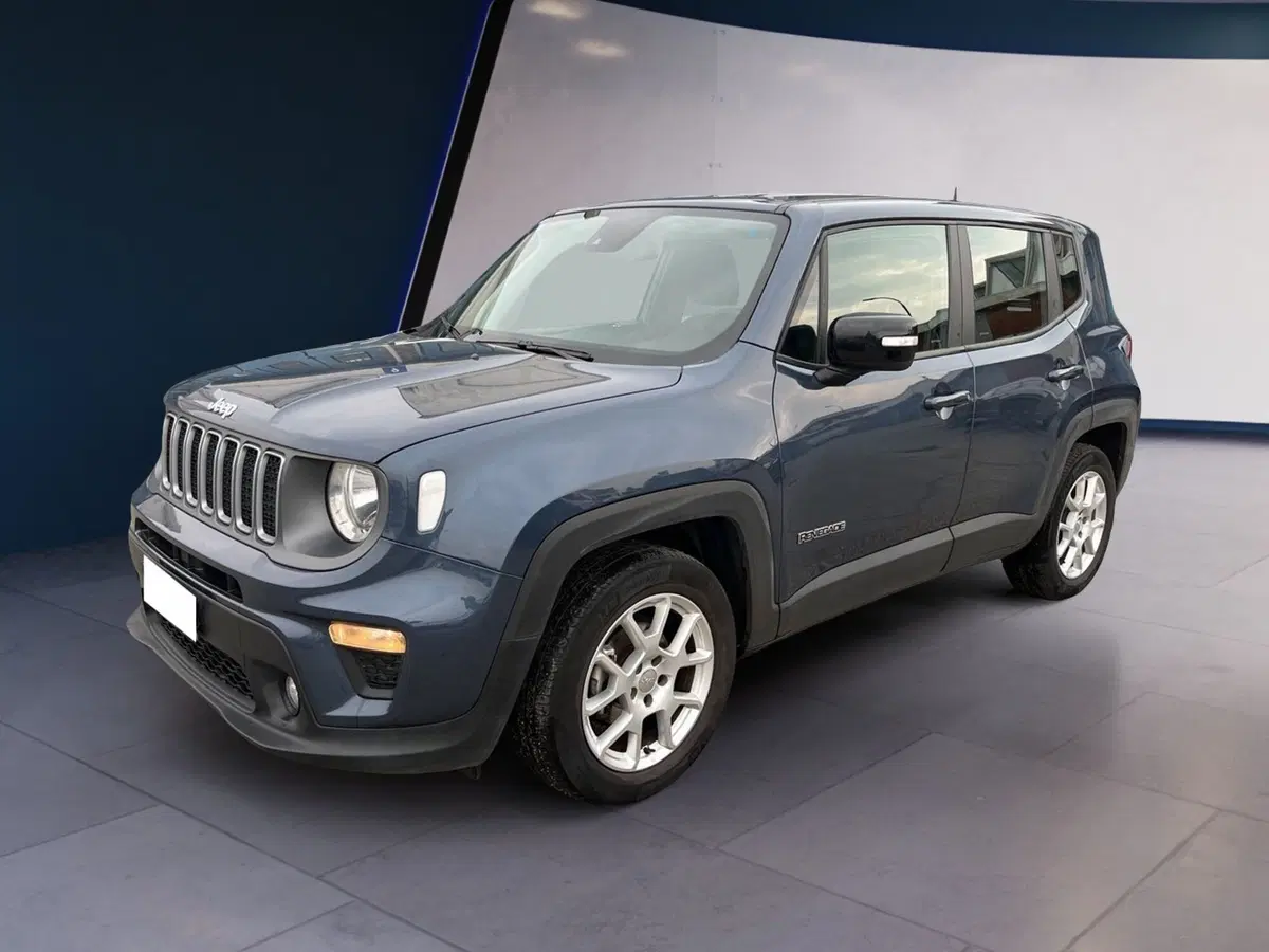 Jeep Renegade usata a Torino (2)