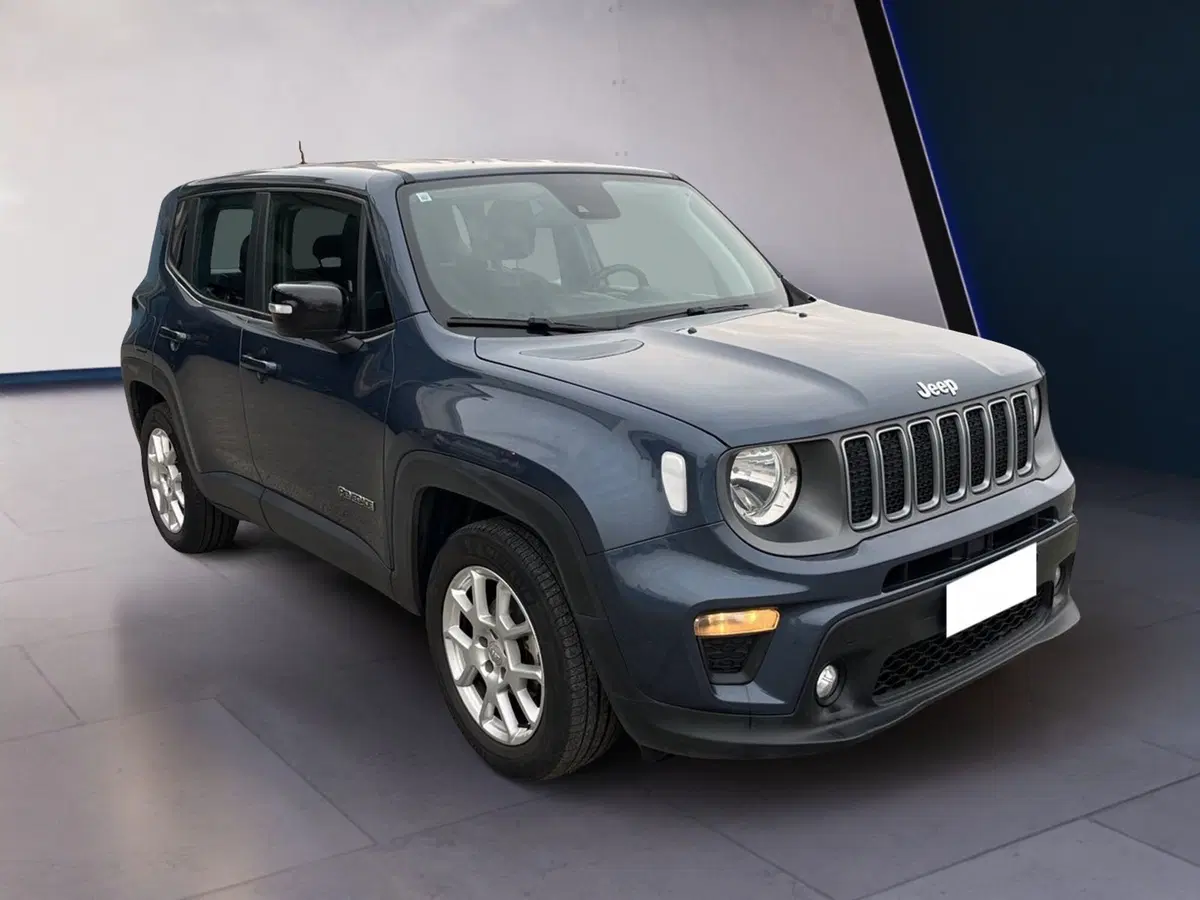 Jeep Renegade usata a Torino (3)