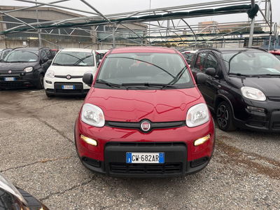 Fiat Panda 1.0 firefly hybrid s&amp;s 70cv 5p.ti del 2024 usata a Torino