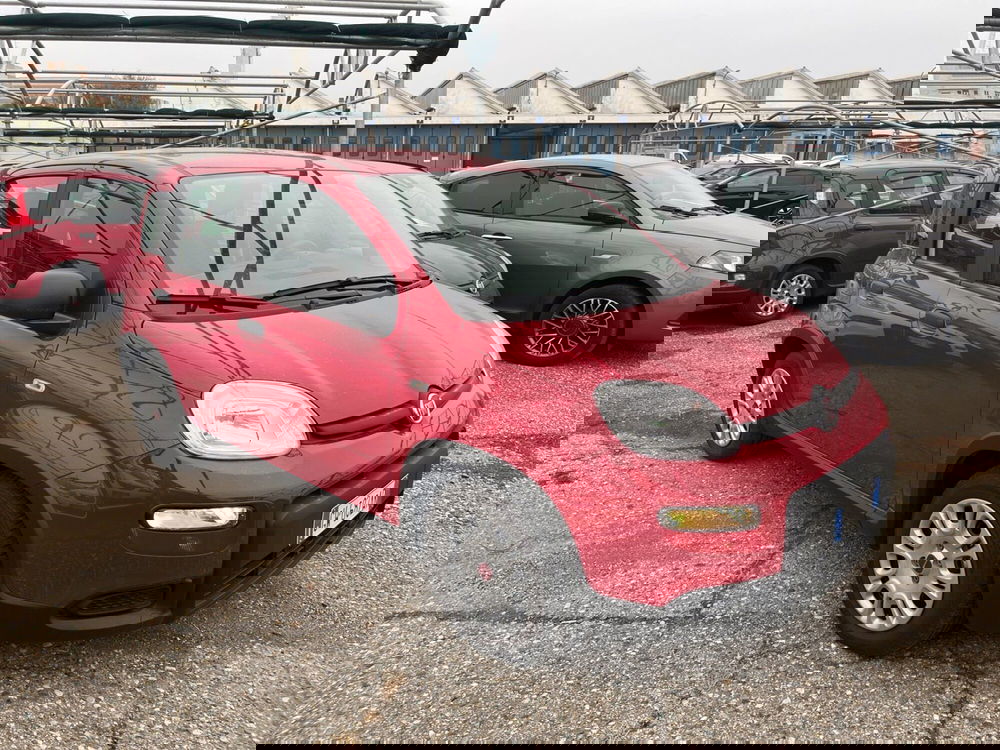 Fiat Panda usata a Torino (3)