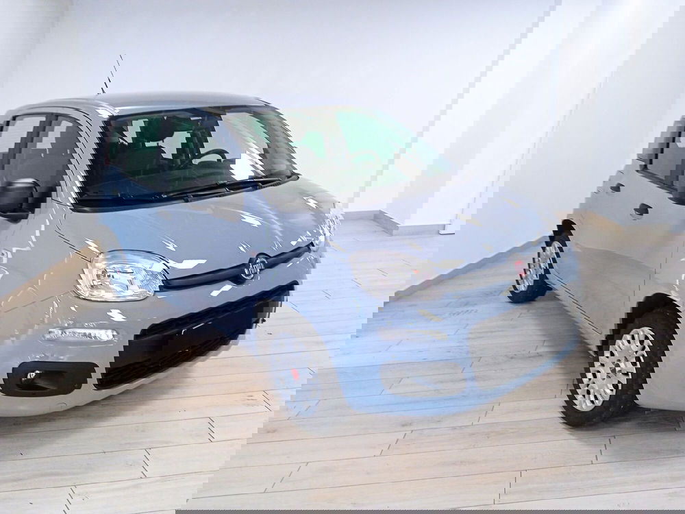 Fiat Panda usata a Torino