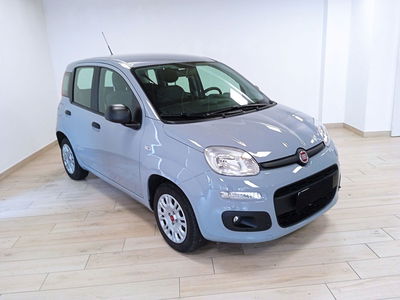 Fiat Panda 1.2 EasyPower del 2022 usata a Moncalieri