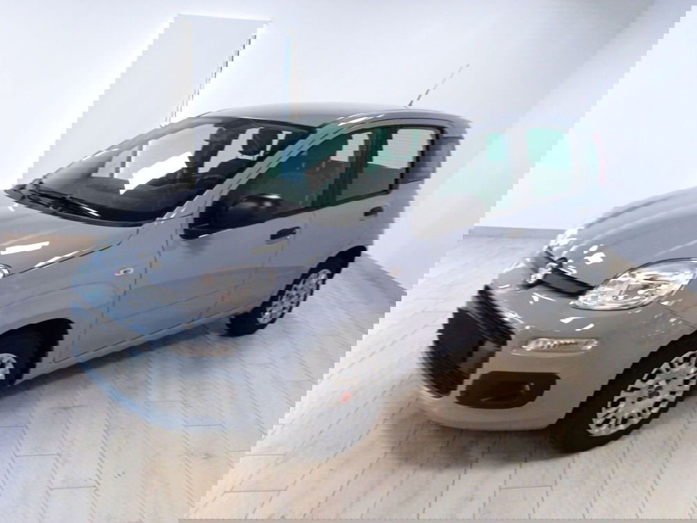 Fiat Panda usata a Torino (3)