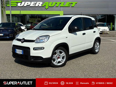 Fiat Panda 1.0 firefly hybrid s&amp;s 70cv 5p.ti del 2024 usata a Albano Vercellese