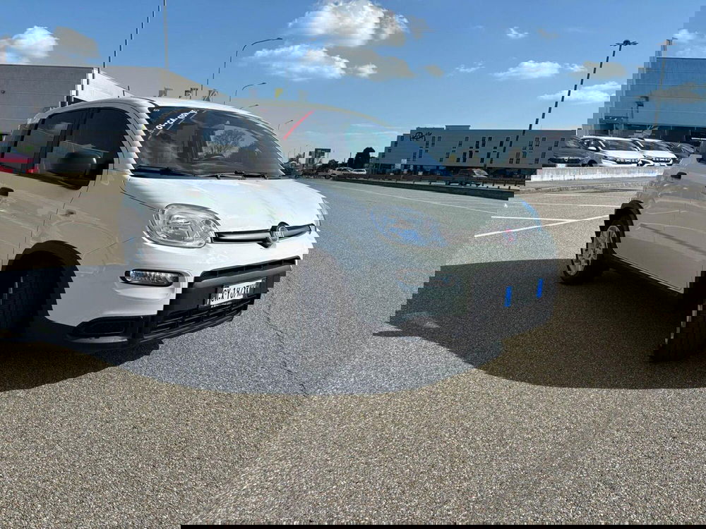 Fiat Panda usata a Vercelli (13)