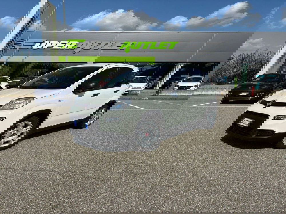 Fiat Panda usata a Vercelli (3)