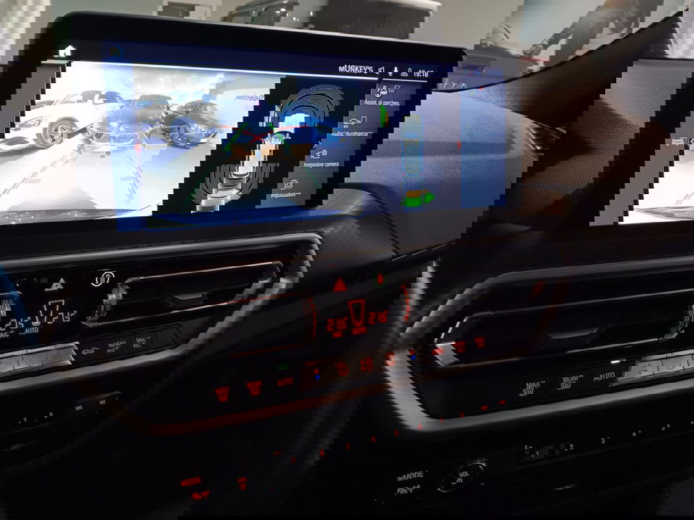 BMW X3 usata a Asti (20)