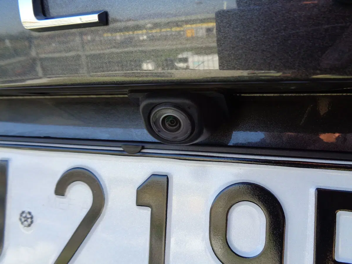 Ford Focus usata a Treviso (18)