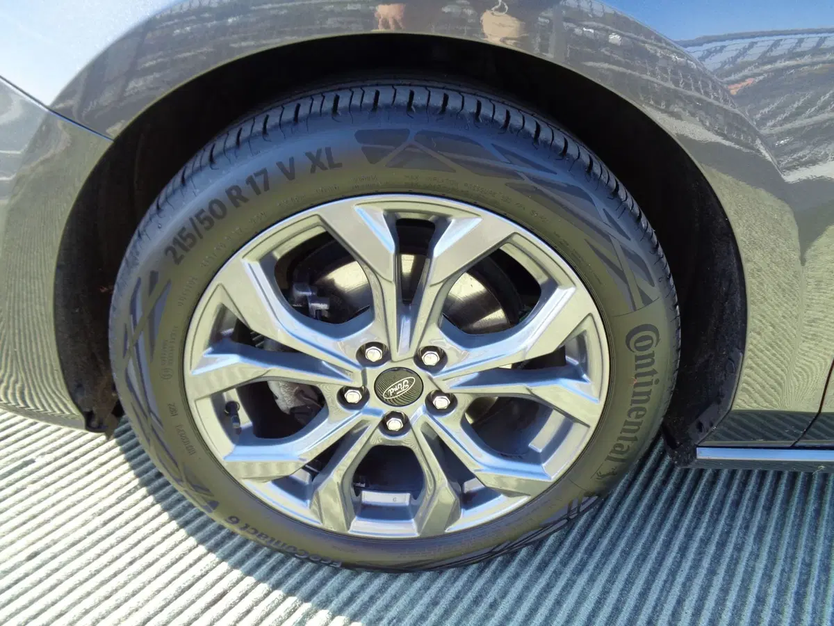 Ford Focus usata a Treviso (6)