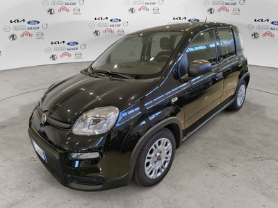 Fiat Panda 1.0 FireFly S&amp;S Hybrid Easy del 2023 usata a Caresanablot
