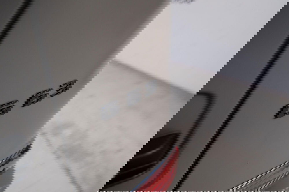 Mercedes-Benz Classe G usata a Torino (8)