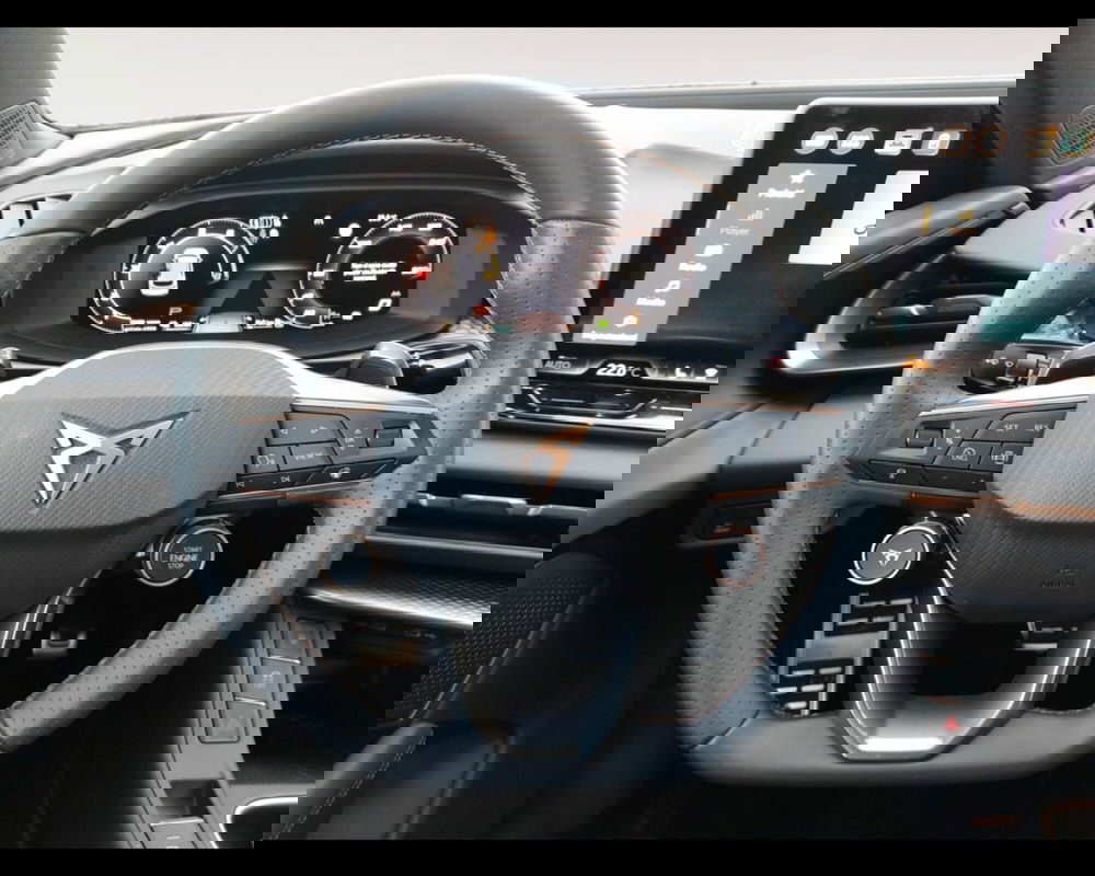 Cupra Terramar usata a Forlì-Cesena (12)