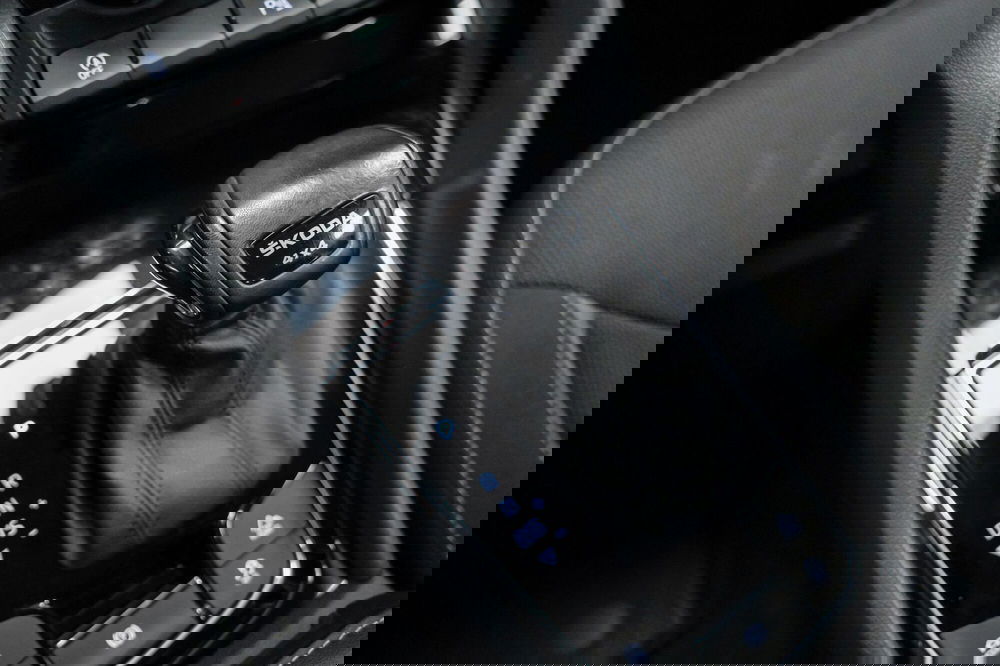 Skoda Kodiaq usata a Varese (19)