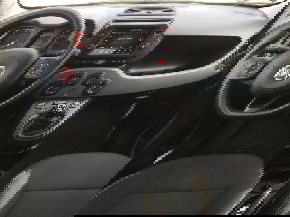 Fiat Panda Cross usata a Cuneo (5)