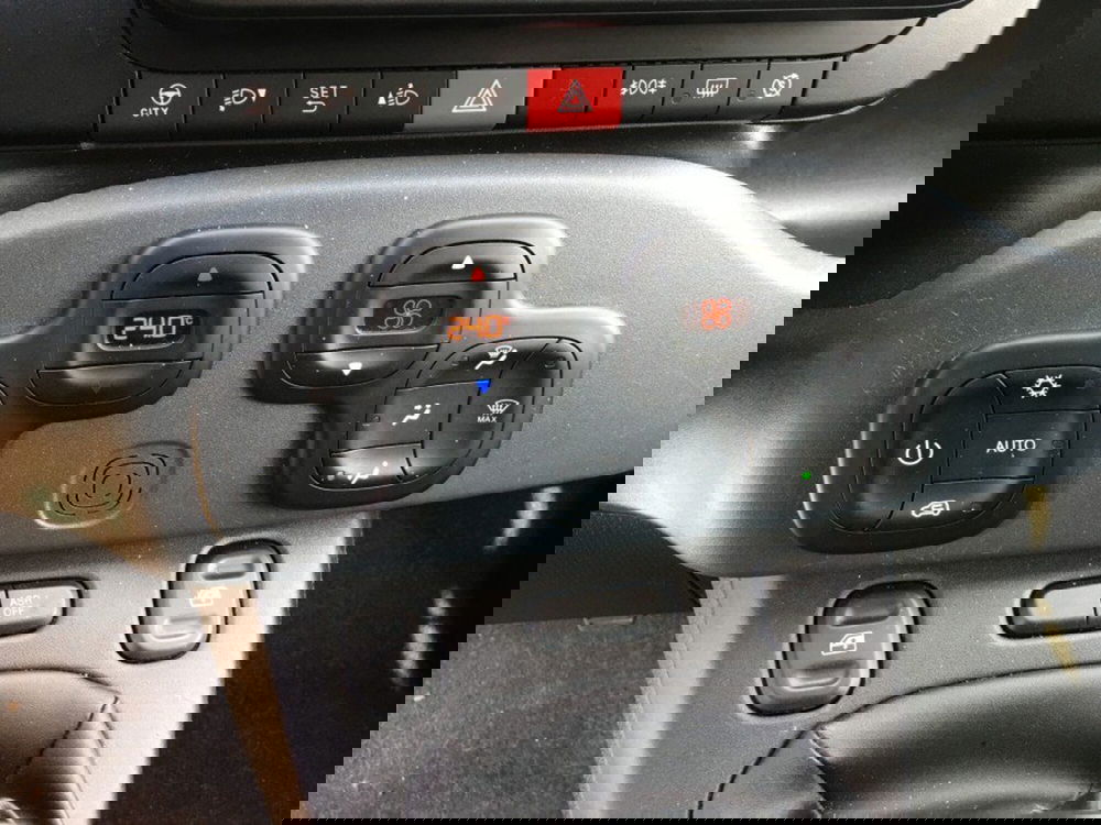 Fiat Panda Cross usata a Cuneo (9)