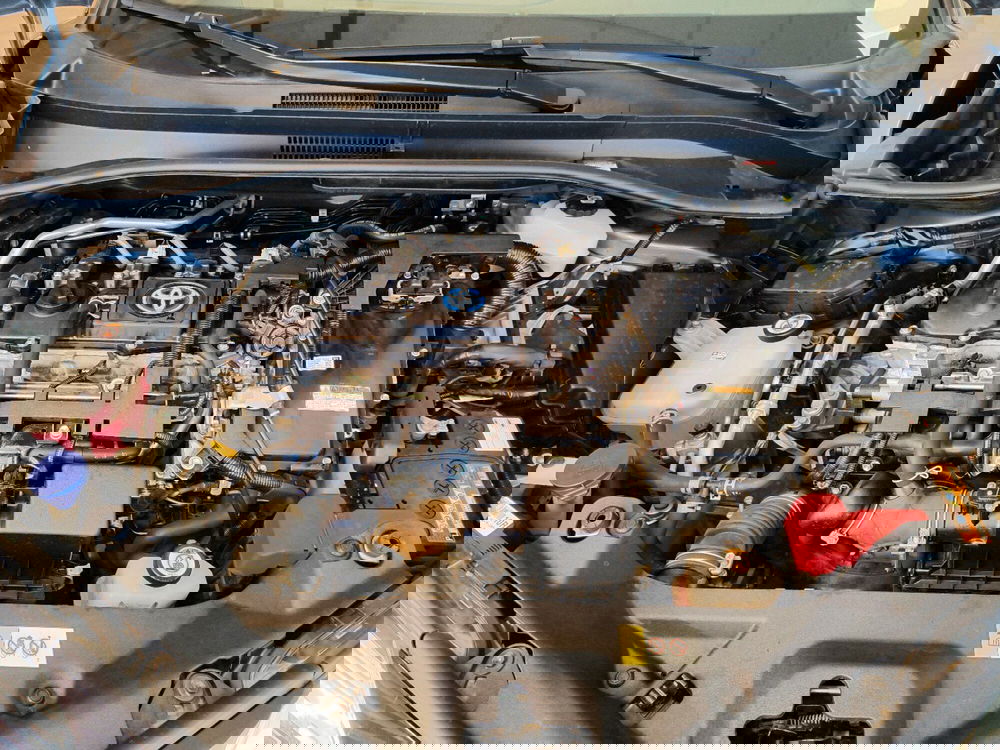 Toyota Toyota C-HR usata a Catanzaro (13)