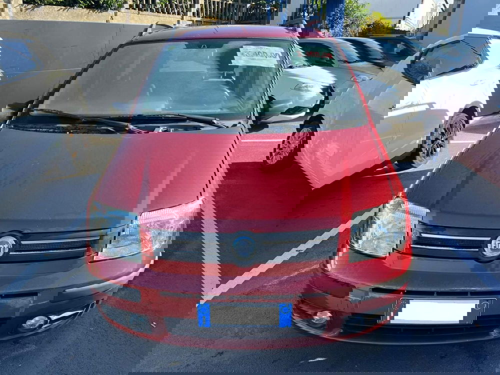 Fiat Panda usata a Lucca (2)