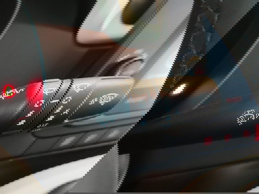 Fiat Panda Cross nuova a Torino (19)