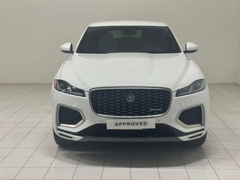 Jaguar F-Pace usata a Novara (8)